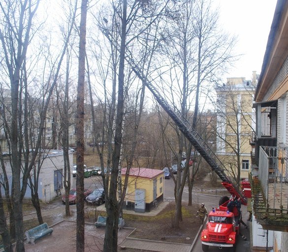 пожарные спасли кошку, город Пушкин, Царское Село