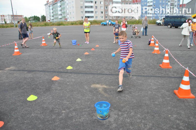 Пушкинский район подводит итоги летней спортивной спартакиады (фото) - фото 2