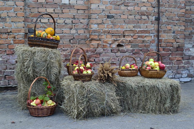 Осенний праздник в Александровском парке « Яблочный полдень» (фото) - фото 4