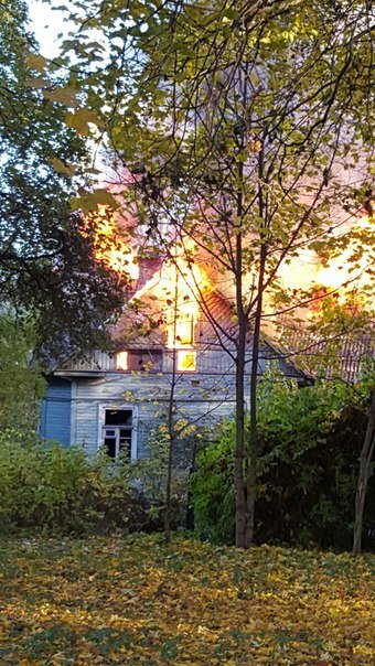 В городе Пушкине, неподалеку от дома-усадьбы Чистякова, произошел пожар (фото) - фото 1