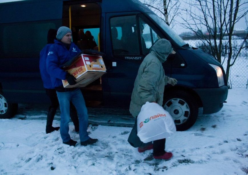 Волонтеры из Пушкина подружились с бездомными лисятами (фото) - фото 1