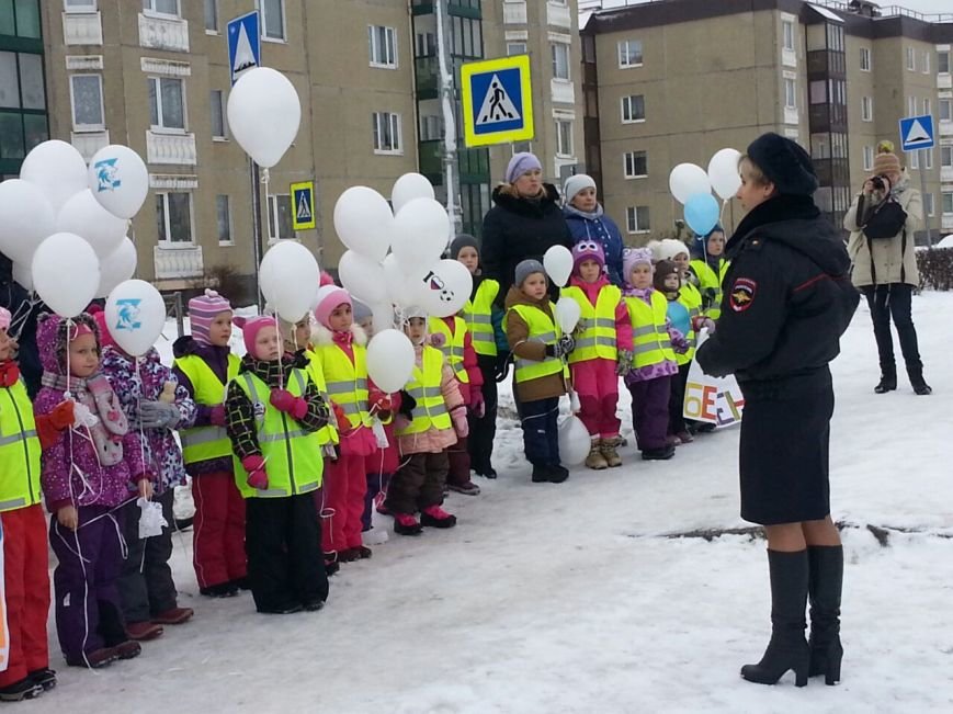 В Пушкине состоялся Всемирный день памяти жертв ДТП, фото-2