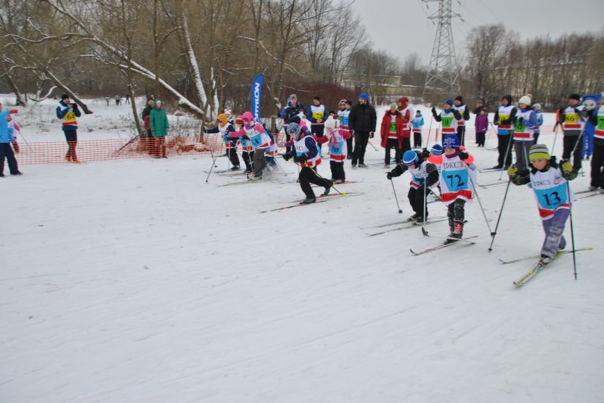 В Нижнем парке состоялись соревнования по лыжным гонкам среди семейных команд, фото-2