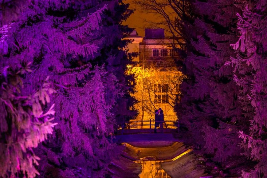 В Екатерининском парке состоялся «Зимний вечер света», фото-2